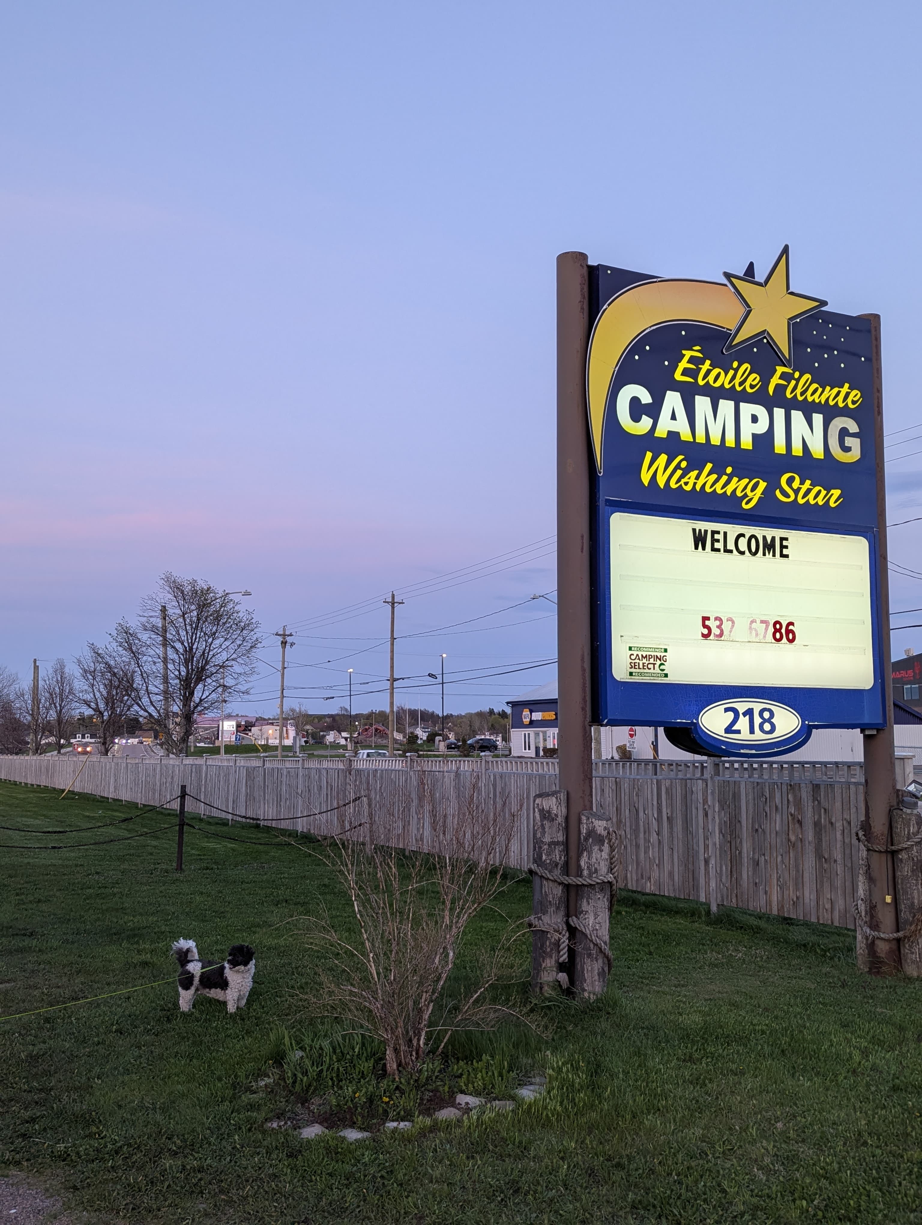 Daytime view of the Étoile Filante / Wishing Star Camping entrance sign